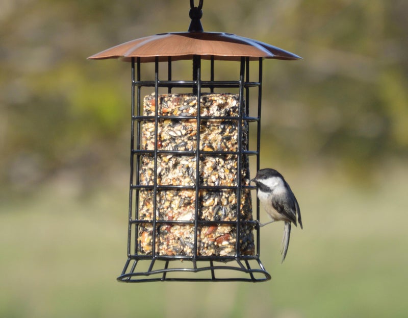 Songbird Essentials Copper Roof Suet Log Feeder - Image 5